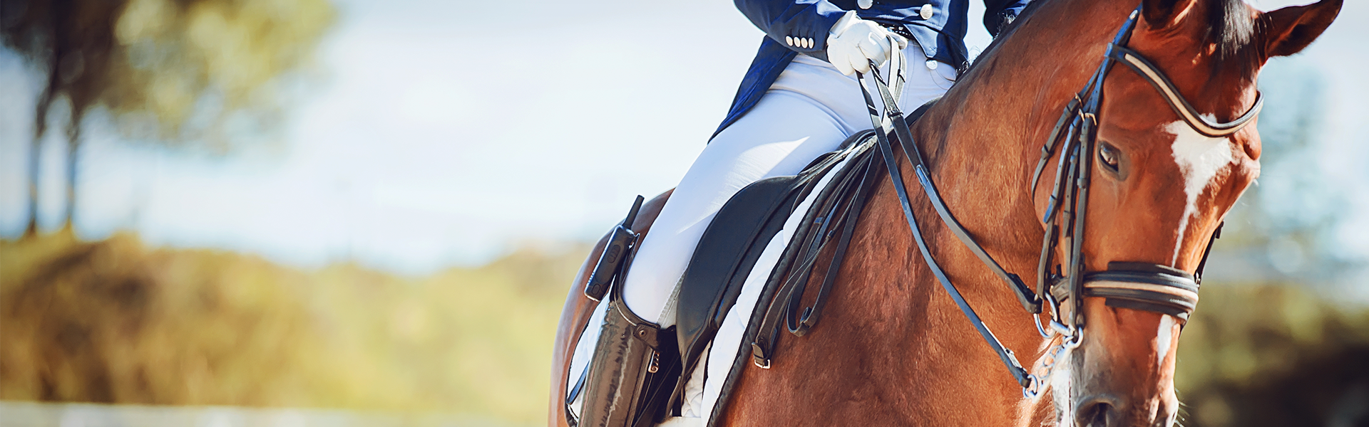 <h1 class="subpage"  style="color:white;" >OM TAILORMADE HORSES</h1>
<img class="icon" style="padding-top:40px; padding-bottom:40px;" 
src="/files/b05867ff-ca6e-411e-9a61-c3acd4de6e60/logo_hvid_beskaret.png" 
/>